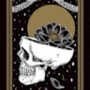 Meet your Posher, Amy bruce